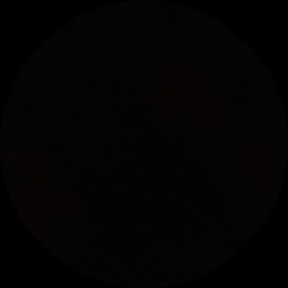 bellata
